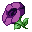 Generic-purplesummonflower.png