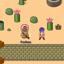 Pachua The Hermit Indian In Mana World.