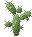 Cactus 2.png